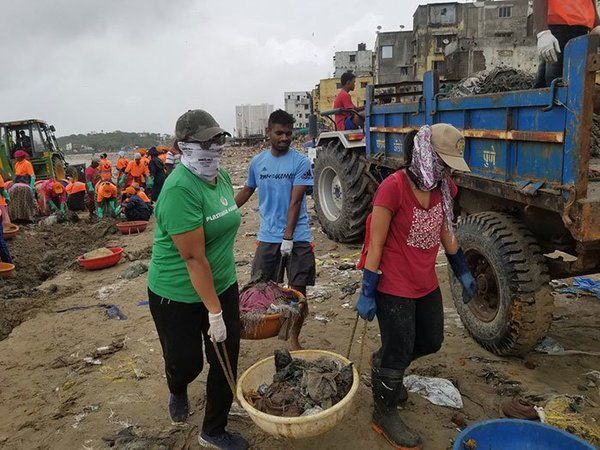 Активісти розчистили один з найбрудніших пляжів Індії і туди повернулися черепахи, вперше за 20 років. Не секрет, що багато видів тварин поступово зникають, і багато в чому через діяльність людини.