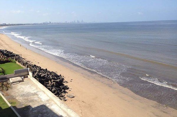 Активісти розчистили один з найбрудніших пляжів Індії і туди повернулися черепахи, вперше за 20 років. Не секрет, що багато видів тварин поступово зникають, і багато в чому через діяльність людини.