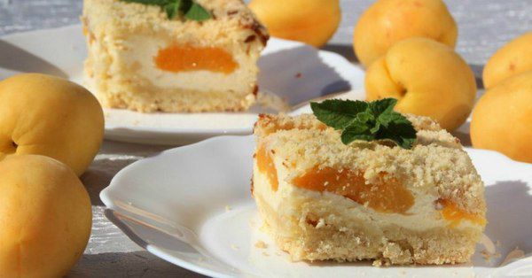Рецепт пирога з абрикосами і сиром який виходить ситним, злегка вологим і дуже смачним. Радимо переконатися в цьому особисто!