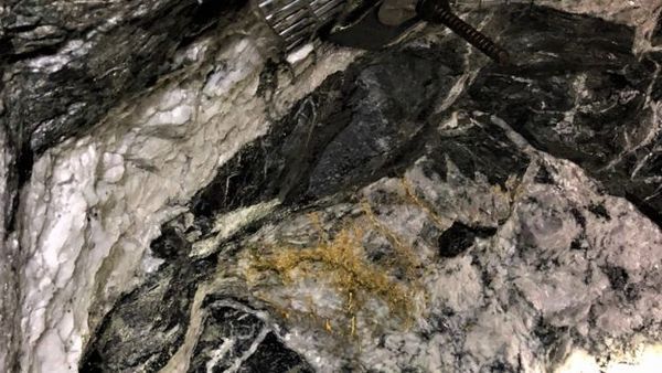 Австралійські шахтарі знайшли камені, які коштують мільйони доларів. Знахідку шахтарів оцінюють як дуже рідкісну.