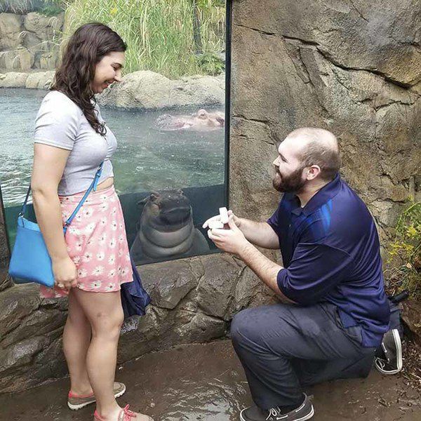 Фотограії молодят у зоопарку стали вірусними, завдяки реакції ведмедя. Можливо, цей знімок дасть старт новому тренду, де пари будуть фотографуватися в зоопарках?