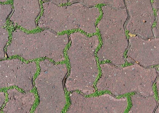 Легкий спосіб позбавлення від трави між тротуарними плитками та камінцями. Швидко, без хімії і надовго.