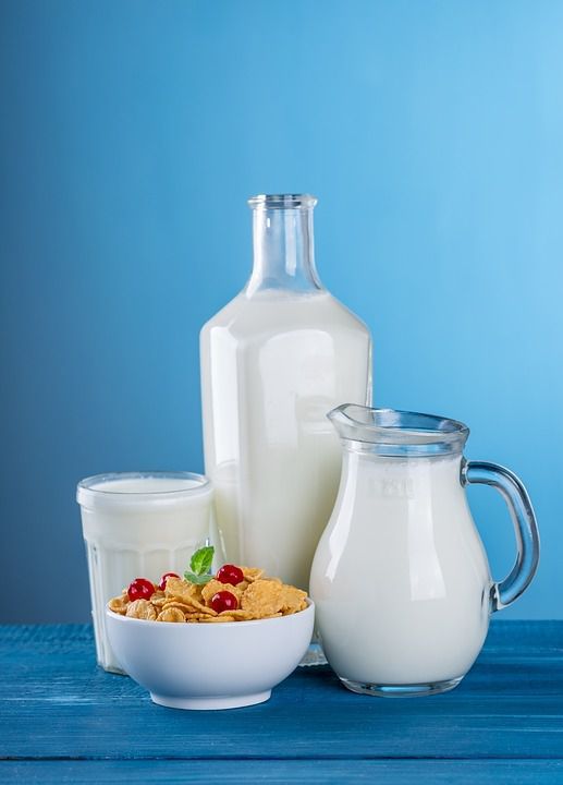 Дослідження вчених показало, що молочні продукти знижують ризик смерті. Молоко визнали еліксиром життя.