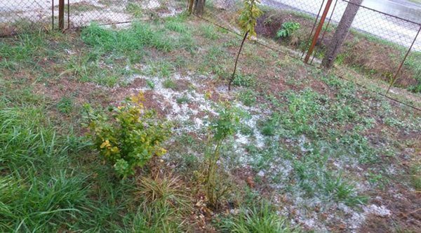 На Закарпатті посеред вересня випав невеликий сніг. Місцеві жителі вже виклали перші фото негоди в соцмережах.
