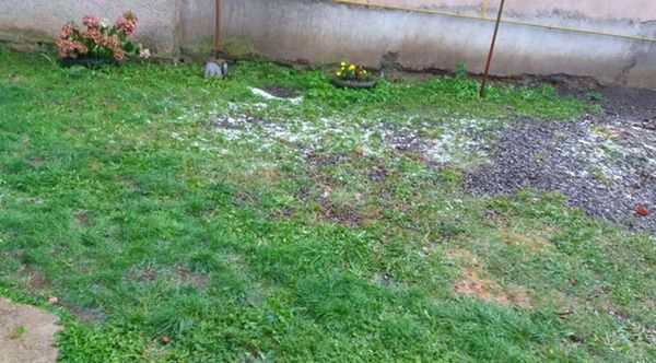 На Закарпатті посеред вересня випав невеликий сніг. Місцеві жителі вже виклали перші фото негоди в соцмережах.
