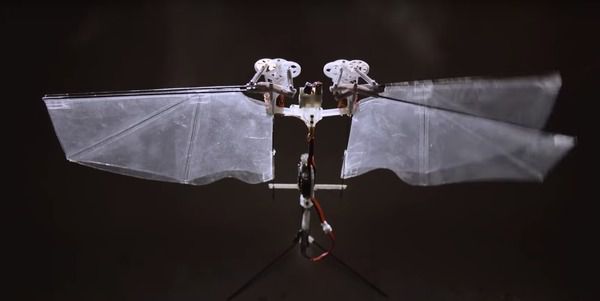 Вчені створили робота з унікальною системою польоту, яка дозволяє йому літати так само швидко, як справжні комахи. Робот Nimble літає як справжня комаха.