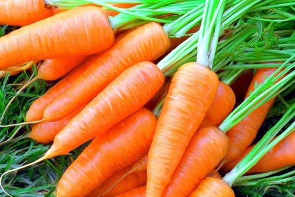 Вперше за багато років Україна почала завозити моркву з-за кордону. Така ситуація є рідкісною для нашої країни.