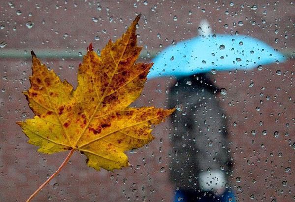 На вихідних в Україну знову прийдуть похолодання і дощі. Синоптики попереджають українців, що на найближчих вихідних, 22 і 23 вересня, до країни прийде похолодання, пройдуть дощі, місцями з грозами.