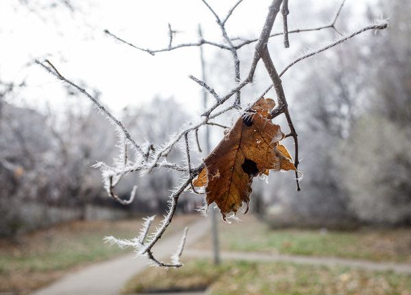 В Україні очікується зниження температури і рясні опади у вигляді дощу, що свідчить про прихід метеорологічної осені. Українцям варто чекати настання холодів.