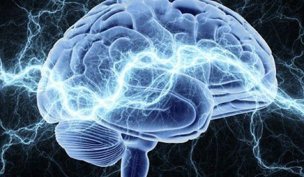 Вчені вважають, що шлунково-кишковий тракт має прямий зв'язок з мозком через нейронний ланцюг. Шлунково-кишковий тракт людини безпосередньо пов'язаний з мозком.