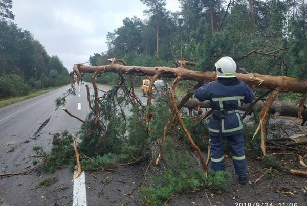 Наслідки негоди в Україні: вітер ламав балкони і зносив дерева, загинув чоловік. 205 населені пунктів залишилися без світла.