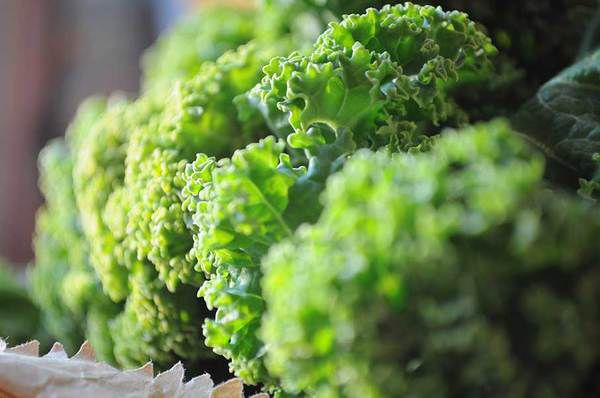Призупинити вікове старіння мозку допоможуть листові зелені овочі. Вони містять високий рівень лютеїну.