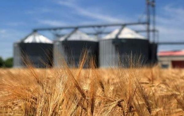 Експорт товарів аграрної та харчової промисловості з України в ЄС налічує $3,6 млрд. За результатами січня-серпня 2018 року експорт товарів аграрної та харчової промисловості з України в країни Європейського Союзу перевищив $3,6 млрд.