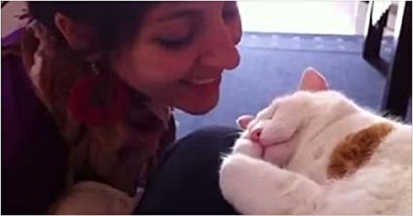 Реакція сплячого кота на поцілунок своєї господині змусить вас усміхнутися. Відео. Як тільки вона торкається губами його чола - він одразу ніжно нявкає.