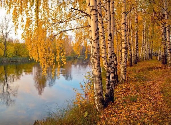 Прогноз погоди в Україні на 6 жовтня: потеплішає і буде сонячно. Погода 6 жовтня, порадує українців теплою і сонячною погодою, синоптики прогнозують, що денна температура місцями досягати +20°.