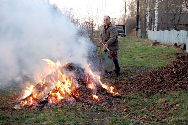 Чому не можна спалювати листя?. Це заняття багатьом з нас здається нешкідливим і звичним: восени жителі приватного сектора збирають і спалюють опале лістя.