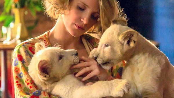 Рейтинг найбільш добрих фільмів з тваринами. 7 найбільш добрих фільмів з тваринами у головних ролях.