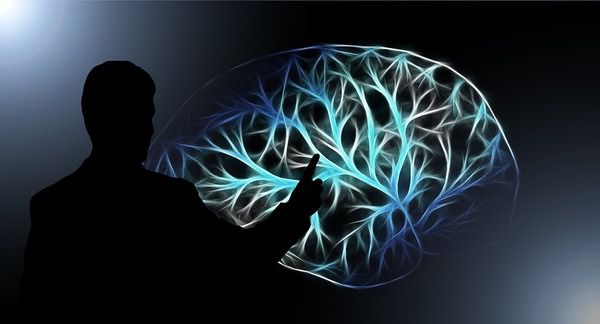 Міф чи реальність: властивості людського мозку, які змінюються з віком. Чи насправді людський мозок старіє?