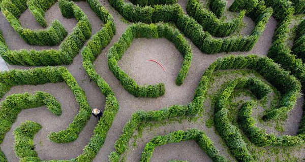 Математик створив неймовірний ботанічний сад, який назвали "Лабіринт Архімеда". Ганс Мунте-Каас настільки захопився ідеєю спроектувати для школи «особливий» ботанічний сад, що перетворив його в справжній лабіринт, що складається з рослин.