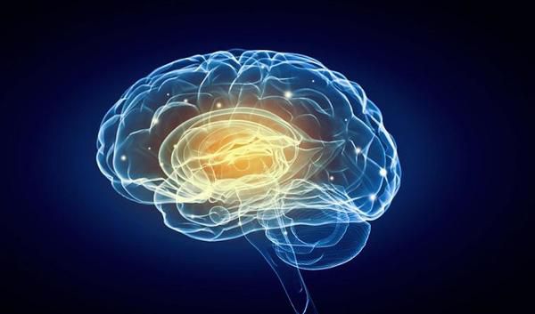 Нейробіологи: властивість забувати– це ознака неординарного розуму. Ви завжди вважали, що людина з відмінною пам'яттю просто зобов'язана бути розумною? Шкода вас розчаровувати, але ні.