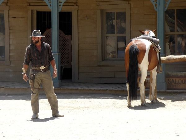 Анекдот дня: у ковбоя, який випивав у барі, вкрали коня. Добре придумав!