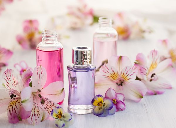 Парфуми з феромонами: правда чи міф. Що таке феромони, як вони діють і чи є вони в парфумах.