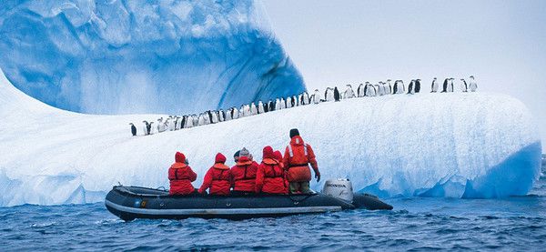 Низькочастотний «спів» льодовиків в Антарктиді розповів про їх стан. Сейсмічні коливання допоможуть відслідковувати коливання температури шельфових льодовиків.