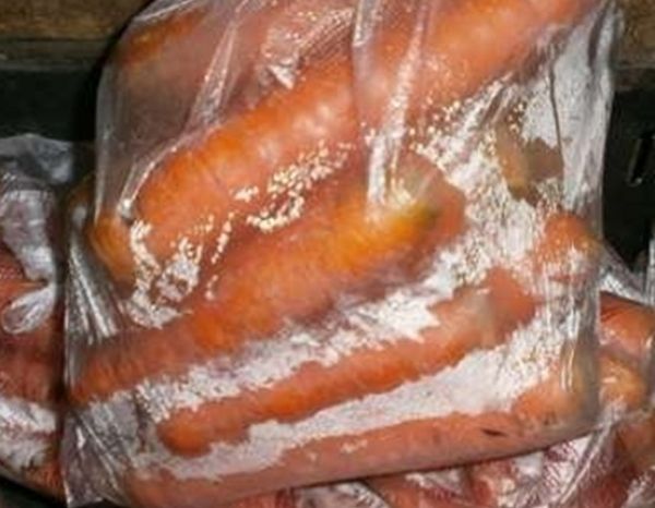 Як зберігати моркву правильно: не дозволимо моркві зів'янути і згнити. Ці методи не дозволять овочам зів'янути і згнити в квартирі або льосі.