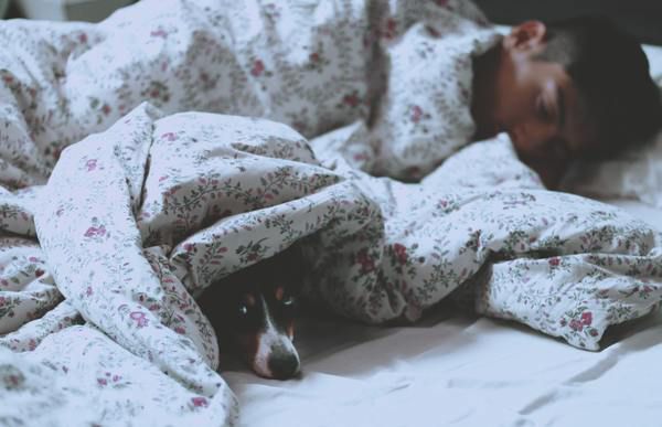 Дослідження: триваліший сон на вихідних допоможе вам відновити сили та довше прожити. До такого висновку дійшли науковці, котрі пояснюють свою теорію.