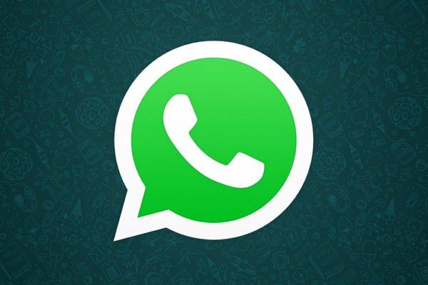 Новинка: у месенджері WhatsApp з'явилися стікери. Дане впровадження допоможе зробити спілкування більш живим і цікавим.