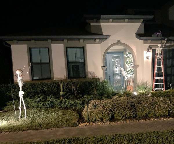 Сусіди вночі розставляють перед будинком креативні сценки зі скелетів. І кожен день у них новий сюжет. Дівчина помітила, що її сусіди ставлять перед будинком сценки зі скелетами.