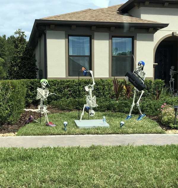 Сусіди вночі розставляють перед будинком креативні сценки зі скелетів. І кожен день у них новий сюжет. Дівчина помітила, що її сусіди ставлять перед будинком сценки зі скелетами.