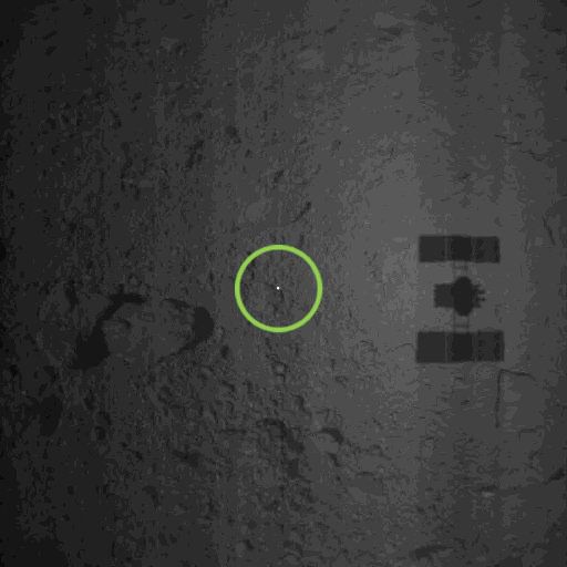 «Хаябуса-2» доставила імена 180 тисяч людей на астероїд Рюгу. Імені зібрані в рамках кампанії «Le Petit Prince Million Campaign 2» в період з квітня по серпень 2013 року.