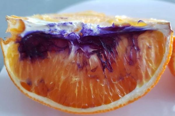 Австралійка нарізала апельсин, а на ранок на ньому з'явилися фіолетові плями. Експертиза все прояснила.