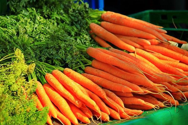 Посадка моркви під зиму: як і коли садити восени. Коли садити озиму моркву, де садити моркву і як правильно посадити моркву восени.