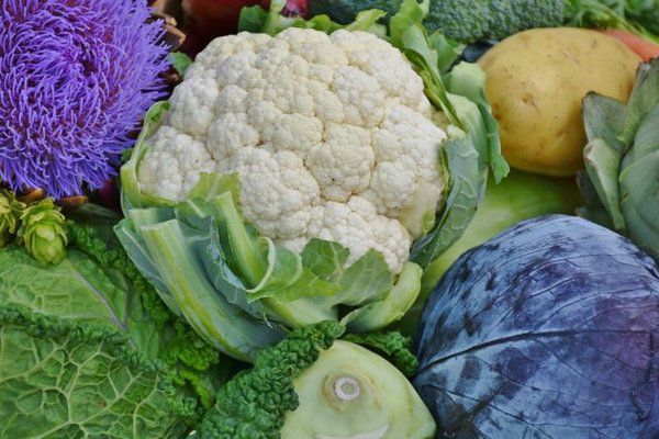 10 осінніх продуктів, багатих на вітамін С. Ці овочі і фрукти допоможуть не захворіти в холодну погоду.
