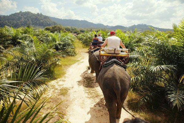 Невеличка прогулянка на слонах - живих символах Королівства Таїланд. Слони перебувають під захистом держави і оточені особливою любов'ю.