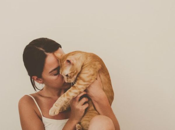 А Ви знали? — цікаві факти про жінок і кішок. Не секрет, що хвостаті улюблениці мають непростий характер. Проте це не привід для того, щоб до них погано ставилися.
