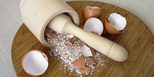 Яєчна шкаралупа: добриво для рослин та захист від шкідників. В основі яєчної шкаралупи є карбонат кальцію, а також важливі для розвитку рослин мікроелементи.