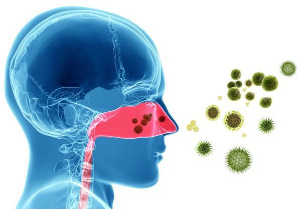 Вчені розповіли: як саме ніс захищає організм від бактерій повітря, яким ми дихаємо. Бактерії присутні майже в кожному вдиху, який ми робимо, однак те, як дихальні шляхи відокремлюють і зупиняють інфекції, досі залишалося загадкою.