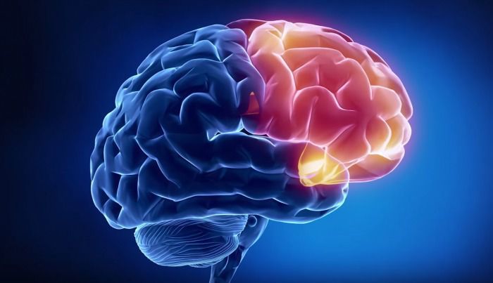 Досліждення вчених: як виглядає людський мозок під час негативних емоцій. Команда вчених з Каліфорнії розглянула, що відбувається в мозку, коли людина сумує.