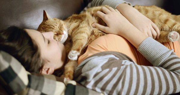 8 причин не дозволяти коту спати разом з вами. Ваш пухнастий друг спить з вами в одному ліжку? Дізнайтесь чим це може вам загрожувати.