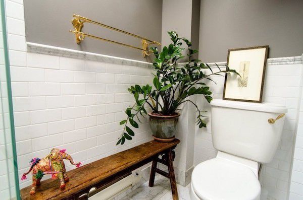 Як обрати рослини для ванної кімнати. Важливо правильно підібрати рослини для ванної, а також створити їм умови для комфорту.