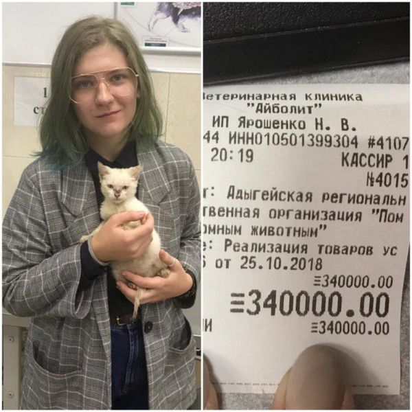 Студентка погасила борг притулку в 5 тисяч доларів заради бездомного кошеняти. Вона не просто врятувала бездомне кошеня, але й допомогла притулку для тварин вирішити фінансові проблеми.