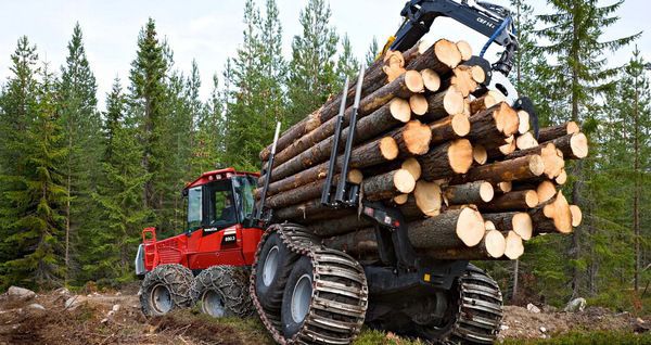 Статистика по лісовій продукції: в Україна експорт лісу збільшився на 41%, порівняно з минулим роком. Про це повідомляє Державна служба статистики України.