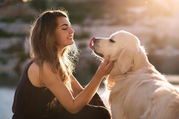 Ось науковий доказ того, що ваша собака любить, коли ви посміхаєтесь. Ні, це не ваша уява.