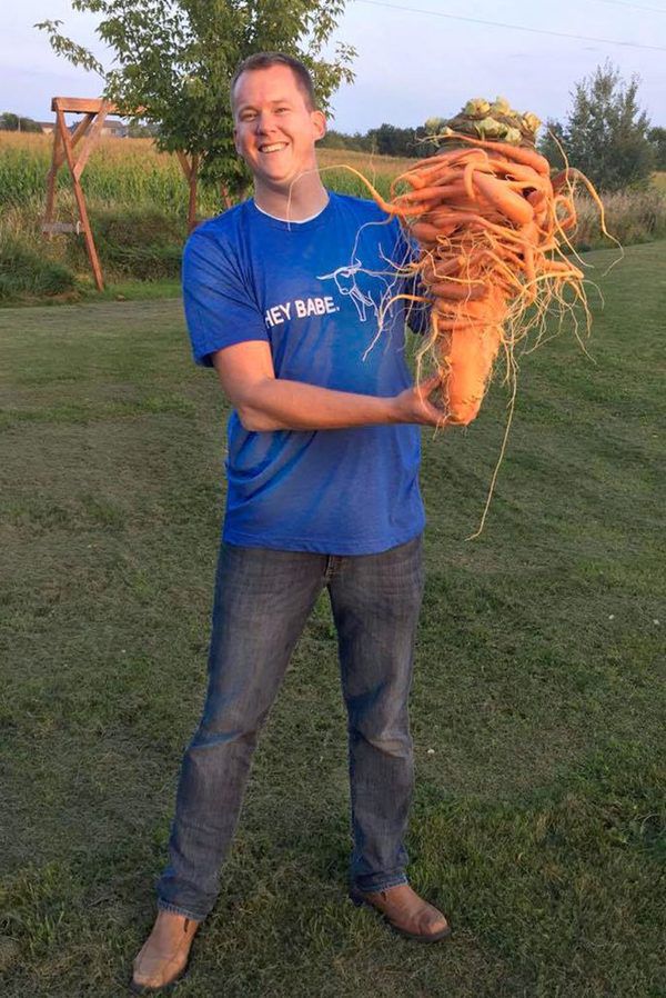 Чоловік виростив величезну моркву, і вона більше схожа на дикого монстра, ніж на овоч. Саме час садівникам-городникам похвалитися успіхами і продемонструвати, наскільки багатий їх урожай.