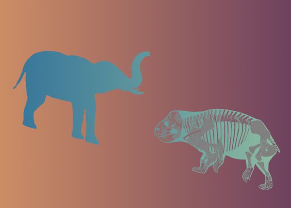У Польщі знайшли найдавнішого предка людини. Травоїдний предок ссавців був розміром майже з слона і мав більш досконалими кінцівками, ніж всі його відомі родичі.
