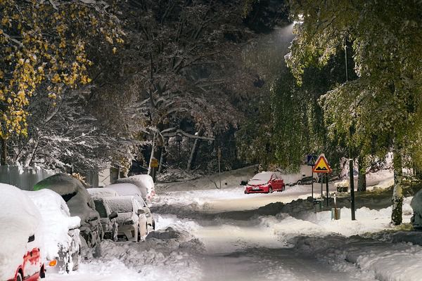 Прогноз погоди в Україні на 26 листопада 2018: снігопади, ожеледиця. На початку тижня, 26 листопада, синоптики попереджають про налипання мокрого снігу, місцями сніговий покрив досягне 15 см, на дорогах буде ожеледиця, пориви вітру.