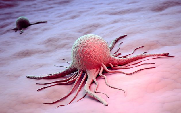 Лікування раку без хіміотерапії - новий метод вчених. Вчені виявили молекулярний перемикач для знищення злоякісних клітин. У майбутньому відкриття допоможе створити безпечний для організму спосіб лікувати рак.